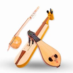 String Instrument