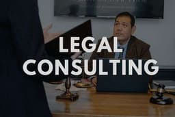Professional Services (Legal, IT Support, Consultancy)