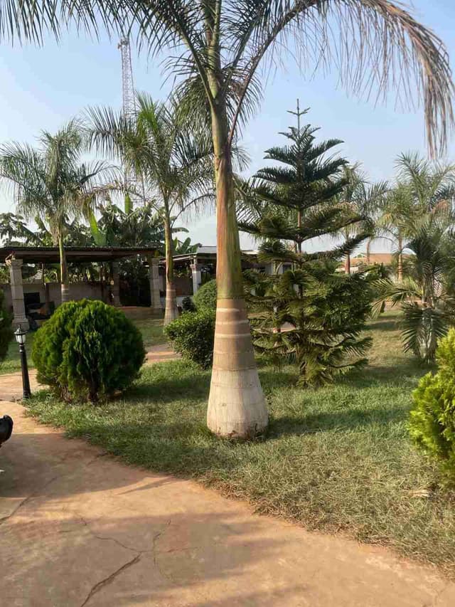 Event Centre with Bar for sale